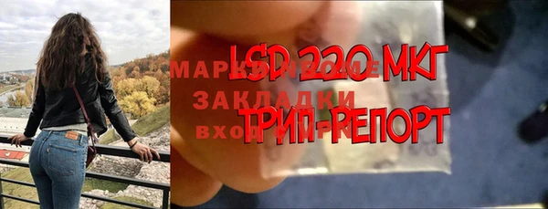apvp Балахна