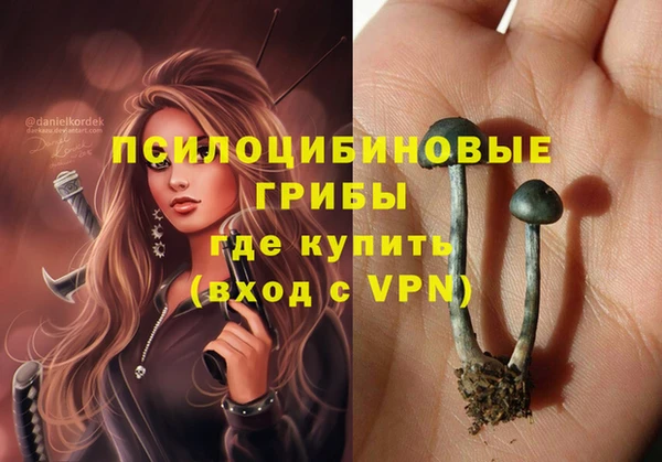 ГАЛЛЮЦИНОГЕННЫЕ ГРИБЫ Баксан