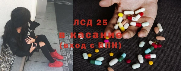 ГАЛЛЮЦИНОГЕННЫЕ ГРИБЫ Баксан
