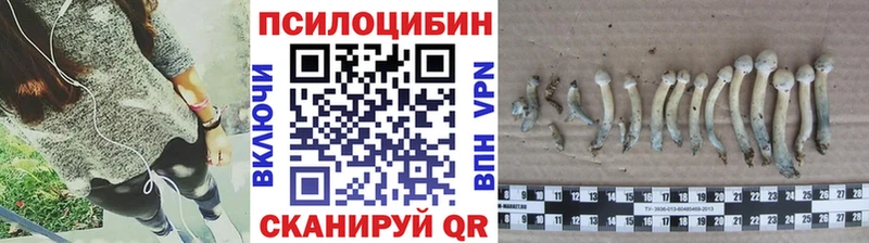Галлюциногенные грибы прущие грибы Баксан