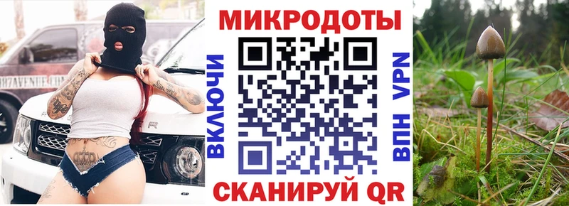 продажа наркотиков  Баксан  hydra ONION  Псилоцибиновые грибы Magic Shrooms 
