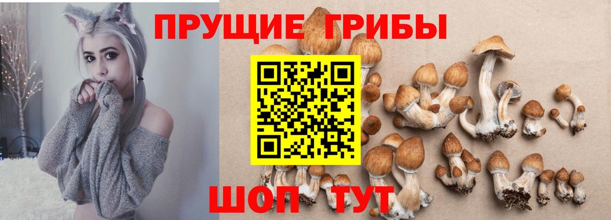 Псилоцибиновые грибы мицелий  Вход с VPN  Баксан 